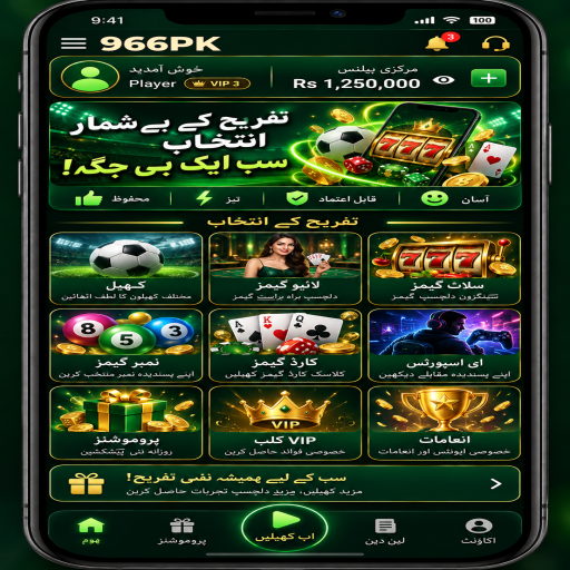 966PK میں باکارا کے بنیادی اصول اور فیصلوں کی اردو رہنمائی